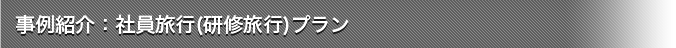 事例紹介：社員旅行(慰安旅行)プラン